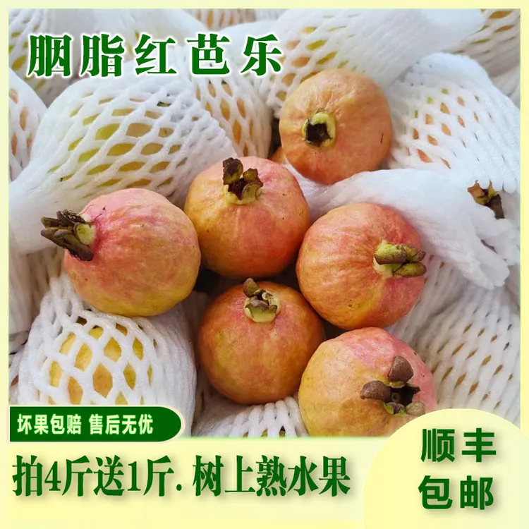 顺丰包邮儿时味道增城胭脂红芭乐番石榴软糯香甜新鲜水果3斤4斤