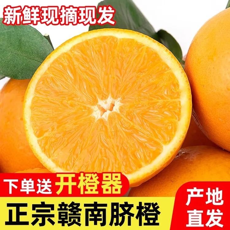 A【果园直发】正宗江西赣南脐橙5/9斤当季新鲜橙子香甜爆汁坏果包赔