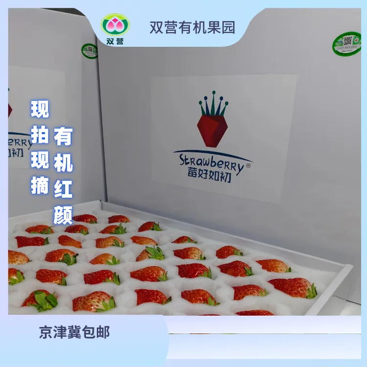 莓好如初饱满草莓有机北京平谷红颜酸甜