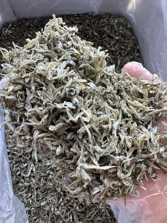 南澳特产淡晒足干丁香鱼 无沙无盐无骨小孩辅食煎蛋煮粥炒菜