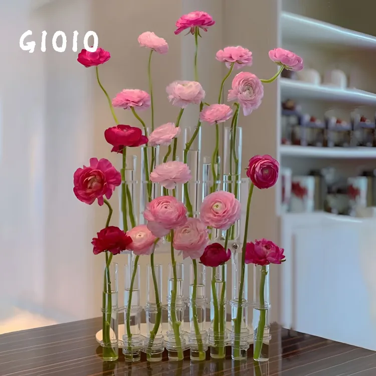 GIOIO试管玻璃花瓶透明网红ins水培器皿插花高级感摆件富贵竹花瓶