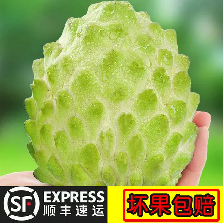 【顺丰+礼盒】新鲜凤梨释迦水果当季番荔枝牛奶释迦佛头果2/3/5斤