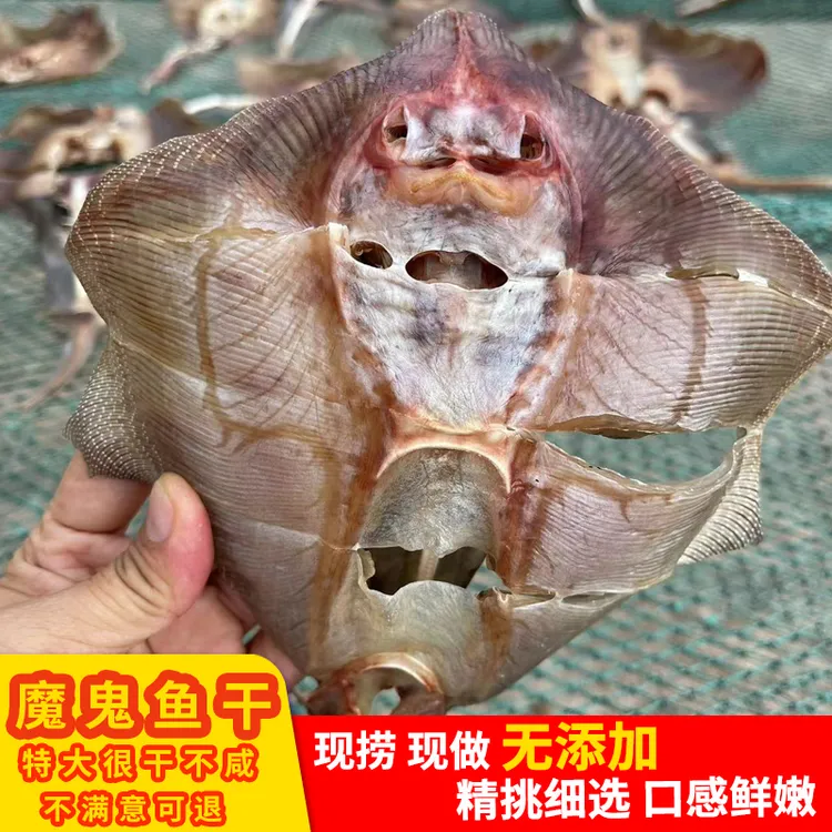 魔鬼鱼干软骨脆骨淡晒无盐老板鱼干500g湛江特产农家自制风干孔鳐