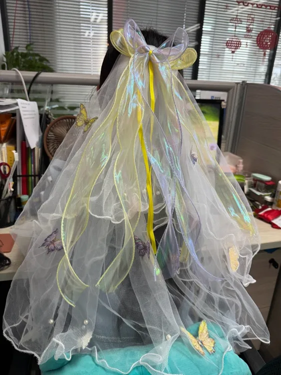 黄子弘凡演唱会定制应援头纱手工定制