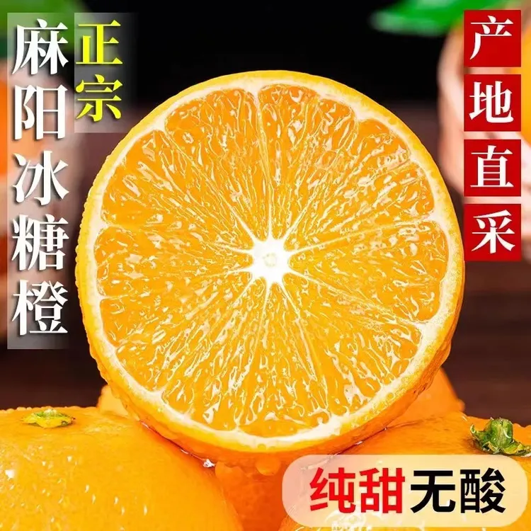 【精品手提礼盒装】湖南麻阳锦蜜冰糖橙 当季新鲜橙子爆汁巨甜