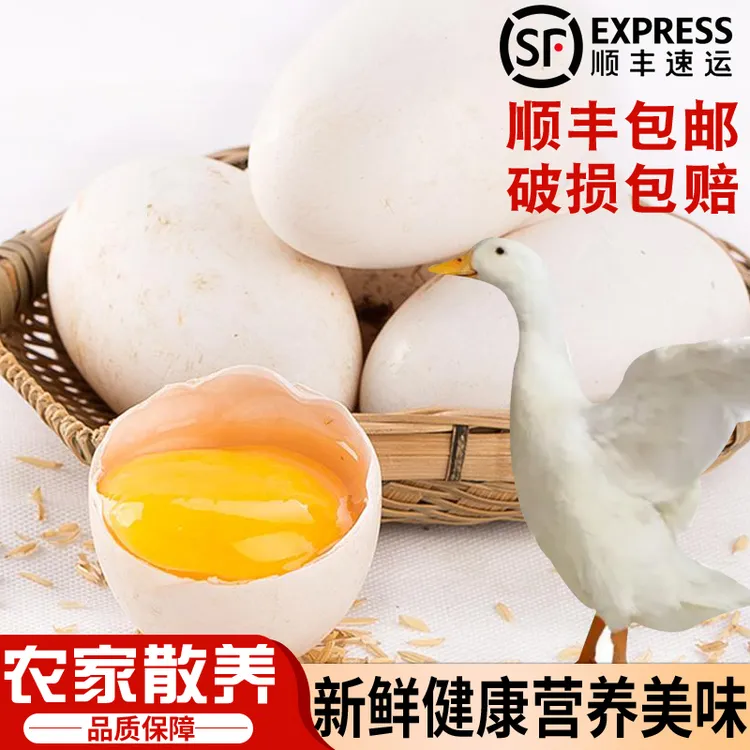 鹅蛋新鲜农家散养现捡现发谷物喂养