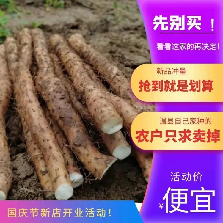 温县发货山药铁棍特价河南焦作铁棍山药正宗温县垆土怀山药3斤5斤