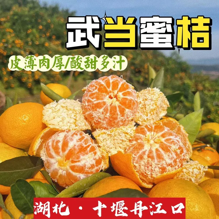 【顺丰包邮】湖北丹江口库区新鲜现摘现发武当蜜桔新鲜多汁酸甜爽口