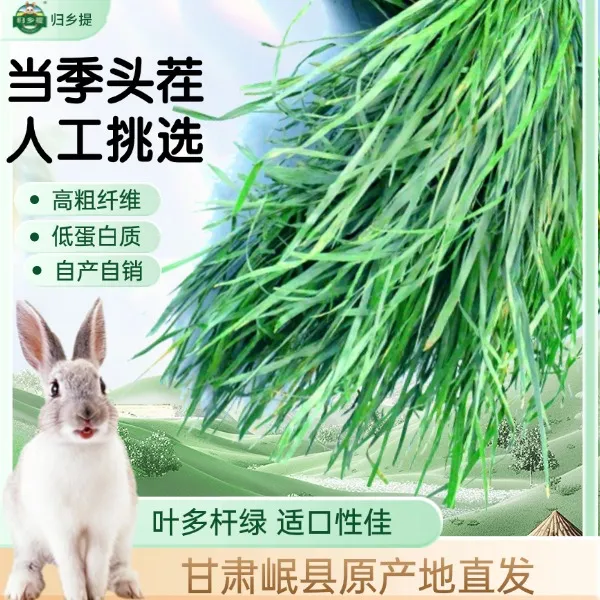 【归乡提】提摩西草烘干干草新货兔子宠物兔粮荷兰猪饲料绿色高纤维