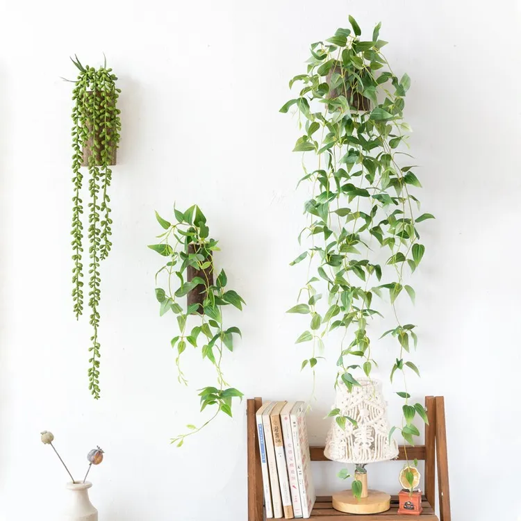 阿楹 墙上仿真植物仿生多肉墙壁装饰 创意隔断墙面造景绿植藤挂件