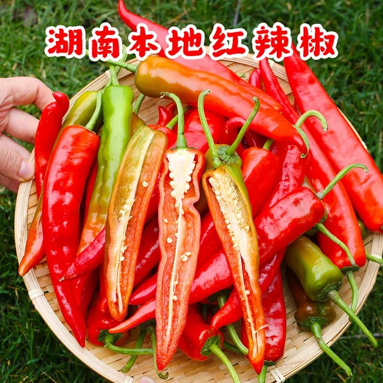 湖南本土红辣椒红色湘辣妹子特辣青红辣椒炒菜皮薄新鲜香辣包邮