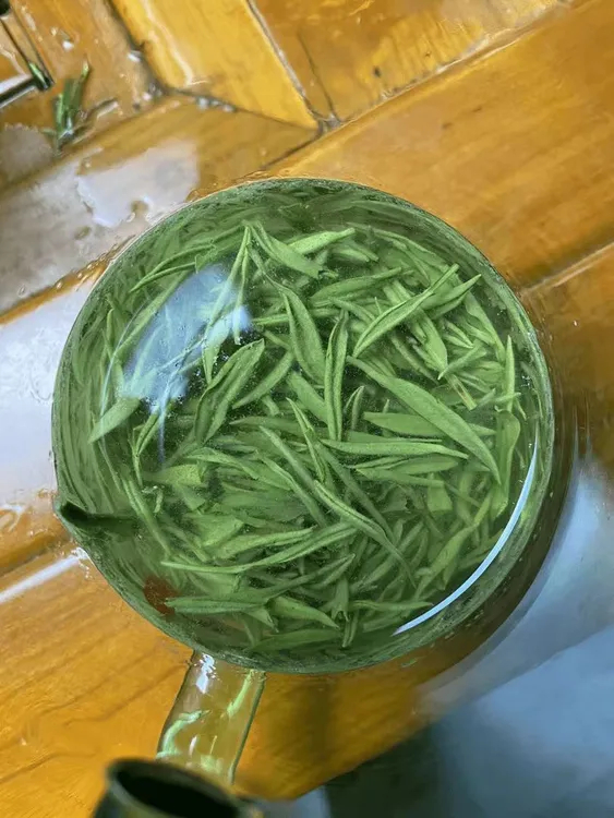 [小盒粉丝专享]2025信阳毛尖生态雨前茶50g送礼茶叶自用新茶