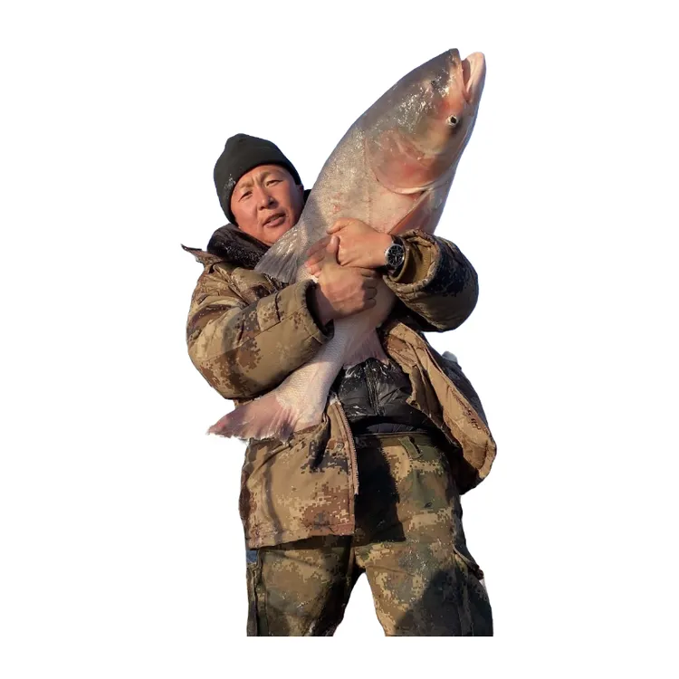 大胖头王30斤一条礼盒包邮吉林查干湖镇东北特产节日礼品