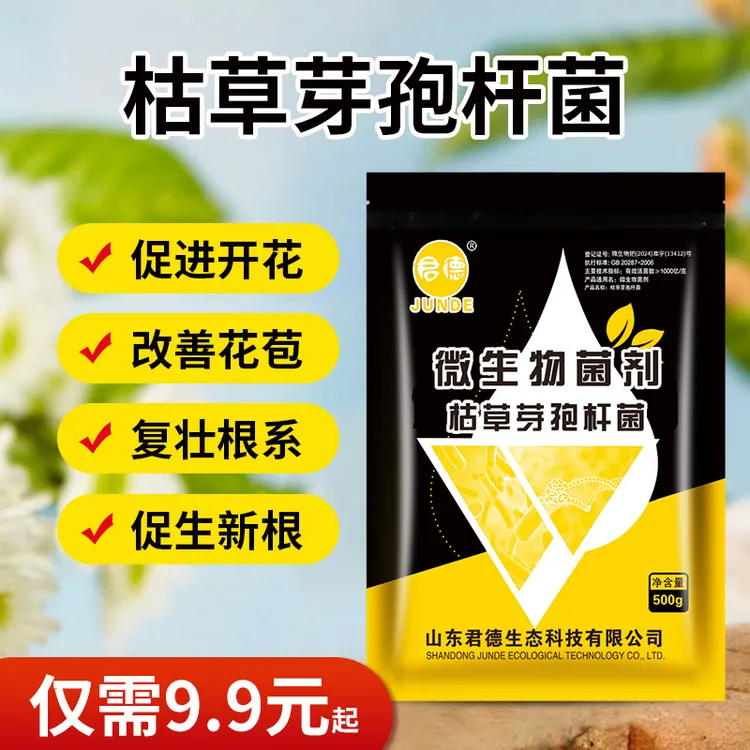 枯草芽孢杆菌枯萎病根腐病白粉病青枯病青枯灰霉病锈病土传病防治