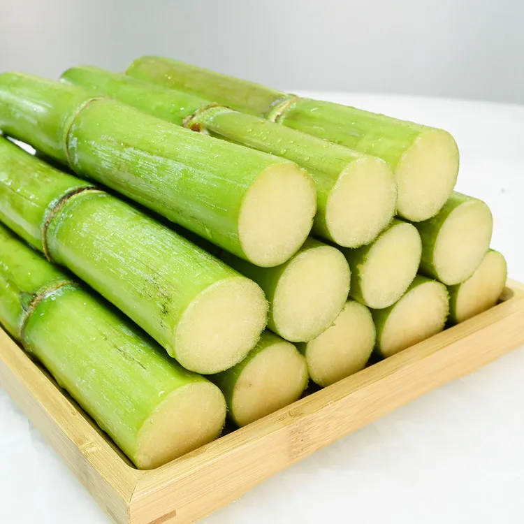 陶山青皮甘蔗现货新鲜绿皮果蔗当季多汁水果精品5斤单节头礼盒装