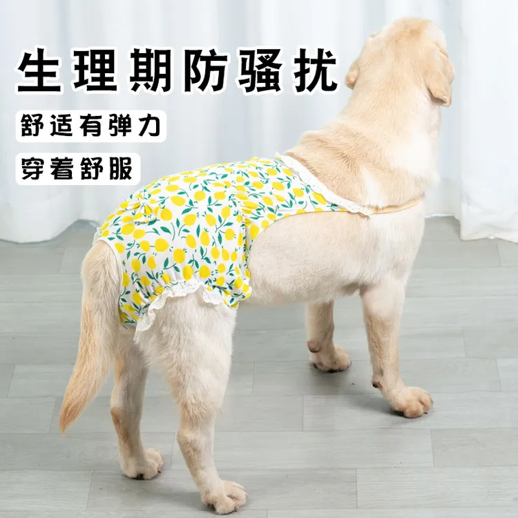 狗狗生理裤姨妈裤可调节透气女狗专用经期防交配神器中大型犬尿裤