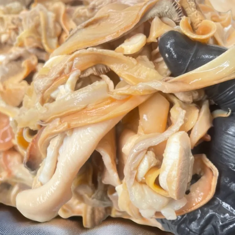 野河蚌每天现杀现发 ，本链接，纯肉一斤半