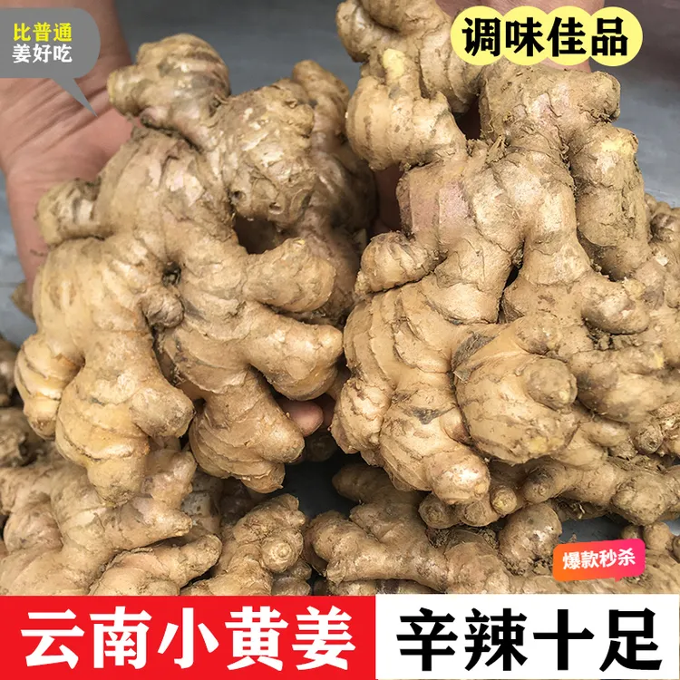 【正宗云南精品小黄姜】鲜姜老姜土姜嫩姜当季鲜姜新姜0.5-9斤包邮