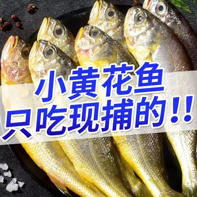 小黄花鱼新鲜海捕小黄鱼装烧烤食材生鲜鱼类黄鱼速冻