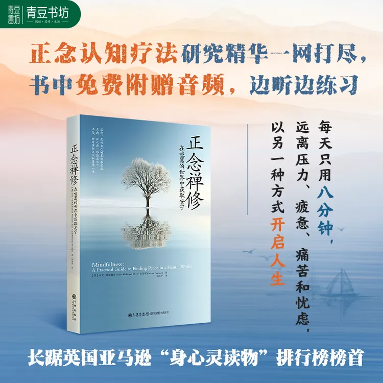 【正念禅修】喧嚣中获取养性书籍研究生活情绪远离压力和忧虑的好书