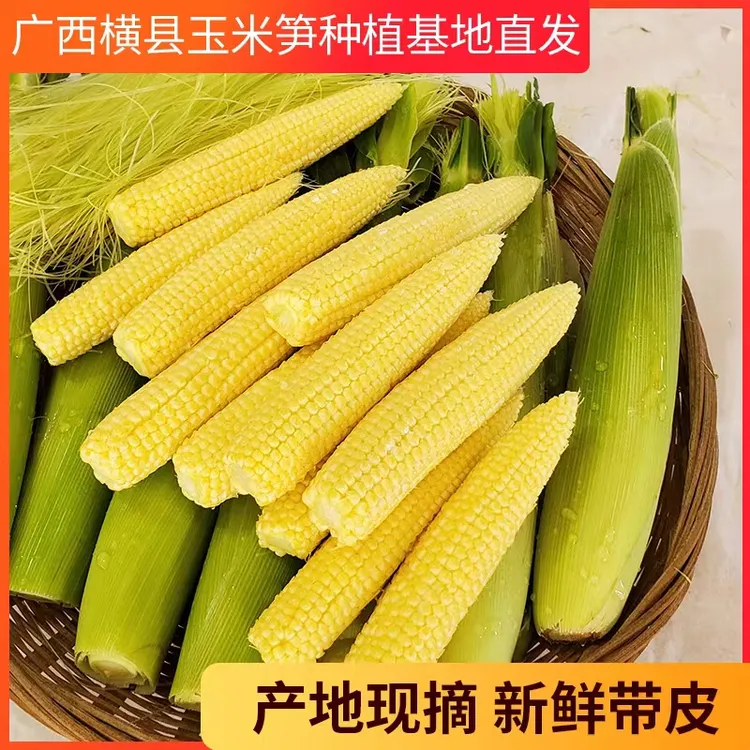 广西新鲜甜玉米笋玉米芯迷你小玉米笋新鲜现摘食用鲜可果可蔬包邮