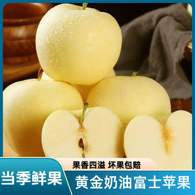 【9斤聚划算】黄金奶油富士苹果正宗葫芦岛5斤新鲜现摘水果粉面脆甜