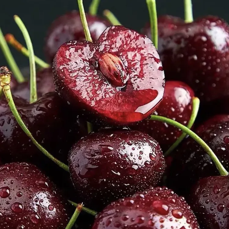 智利空运桑提娜车厘子J-4J车厘子400g-5斤脆甜顺丰包邮内附果径卡