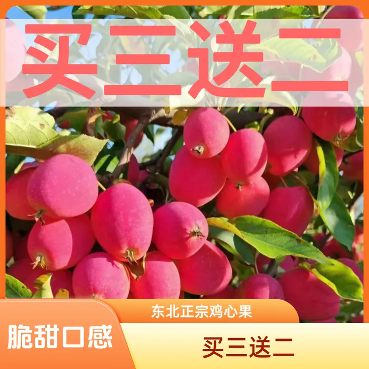 东北正宗鸡心果皮薄肉厚汁多酸甜口感树上采摘包邮