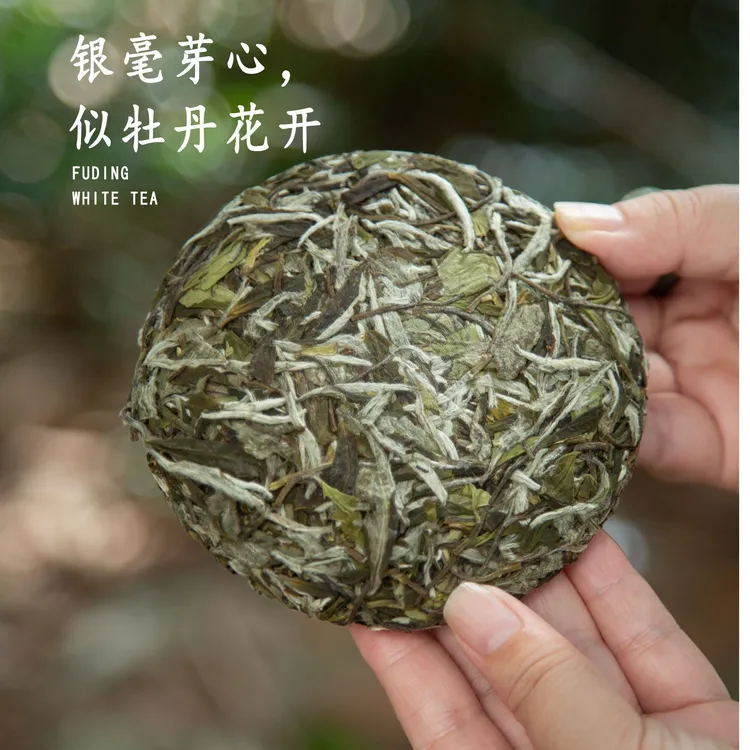 2022小圆满白牡丹磻溪高山茶叶香甜花香茶饼(拆封后不支持退货)