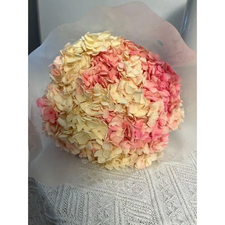 渐变绣球永生花优质严选干花真花婚庆花艺优选工厂花材网红装饰