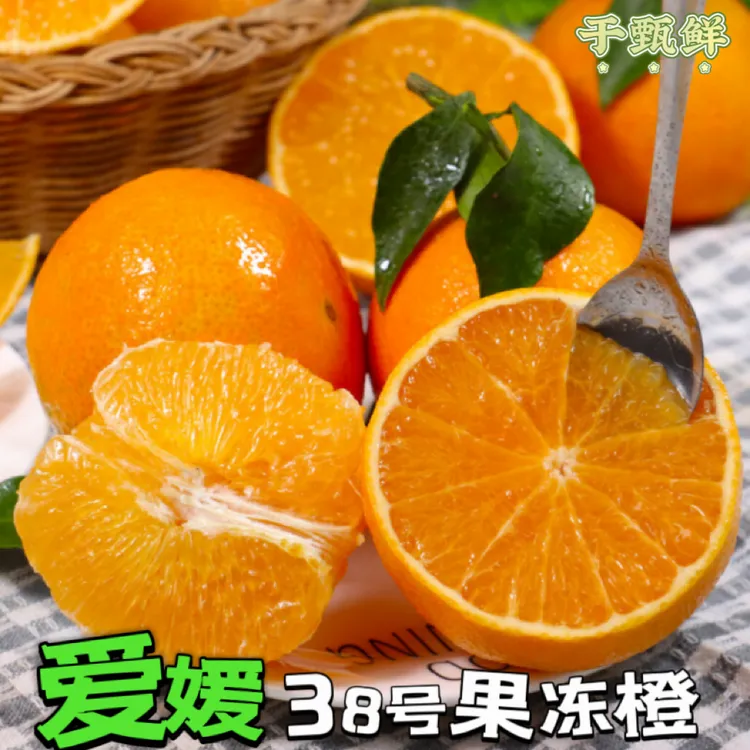 【于甄鲜选】正宗爱媛38号果冻橙可手剥汁水丰盈酸甜可口4.5-5斤