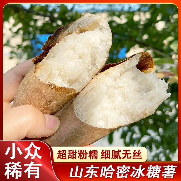 于甄鲜山东哈密冰糖薯红薯新鲜现挖白心蜜薯番薯4.5-5斤装
