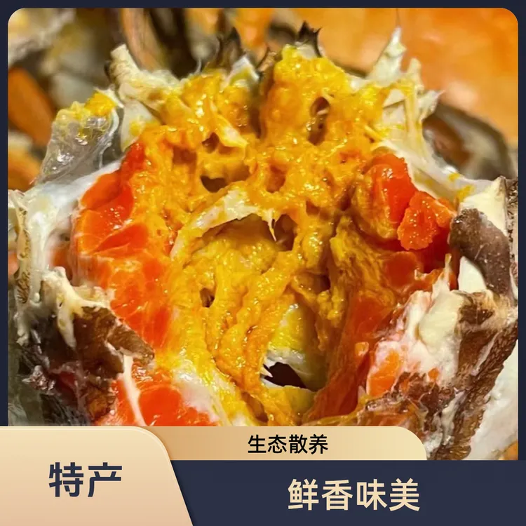 （活蟹）1.2-1.4两，盘锦稻田蟹母蟹3斤