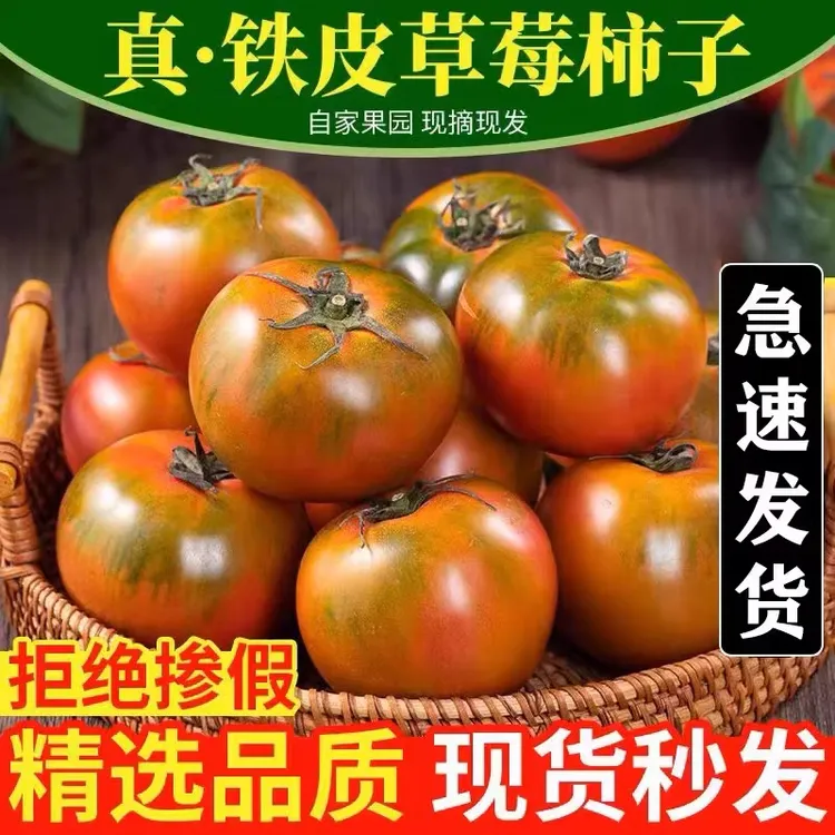 丹东特产草莓西红柿 铁皮柿子自然熟生吃水果番茄小时候味道