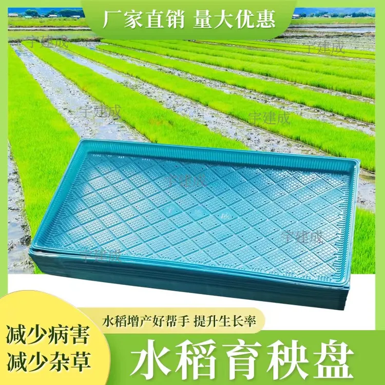 新款PET水稻育秧盘稻谷育苗盘7寸9寸塑料机插育苗盘机插平底盘软