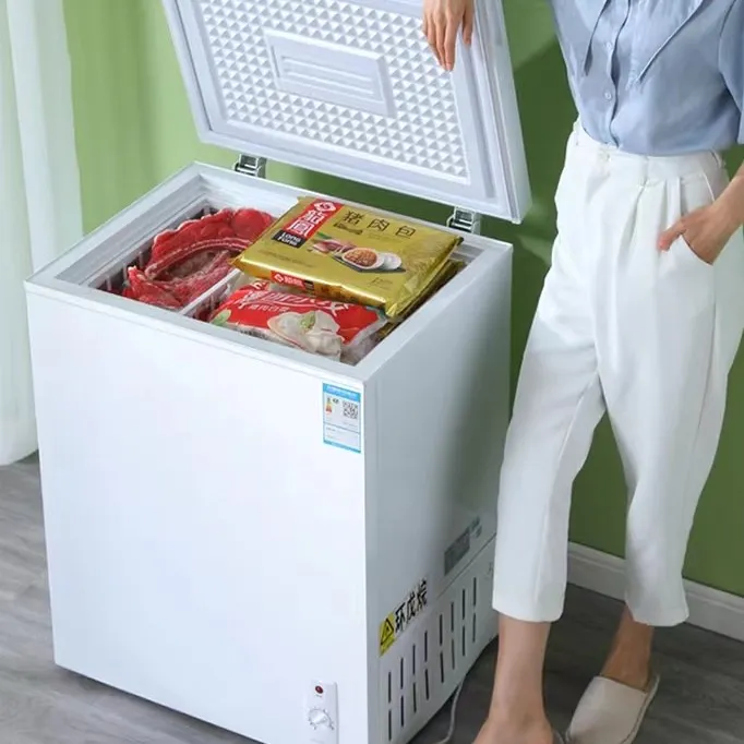 单温冰柜小型一级能效家用速冻大容量冷藏冷冻两用雪糕冰柜