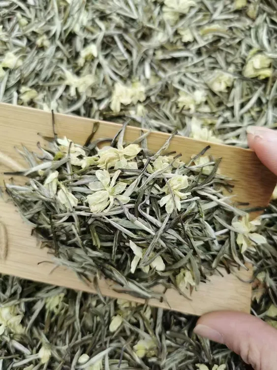 茉莉银针 茉莉花茶 盒子茶铺甄选新茶春茶花茶 