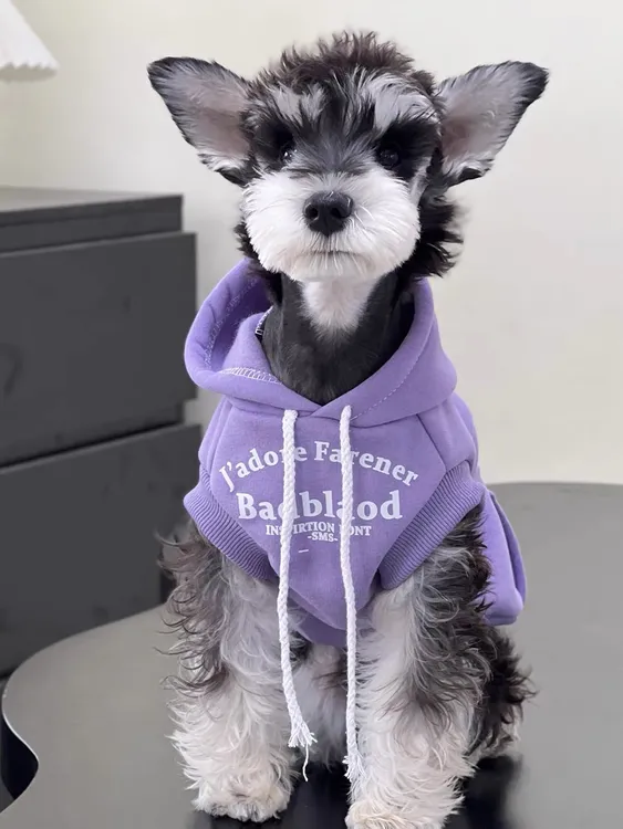 宠物猫狗衣服秋冬潮牌糖果色无袖口袋卫衣防掉毛