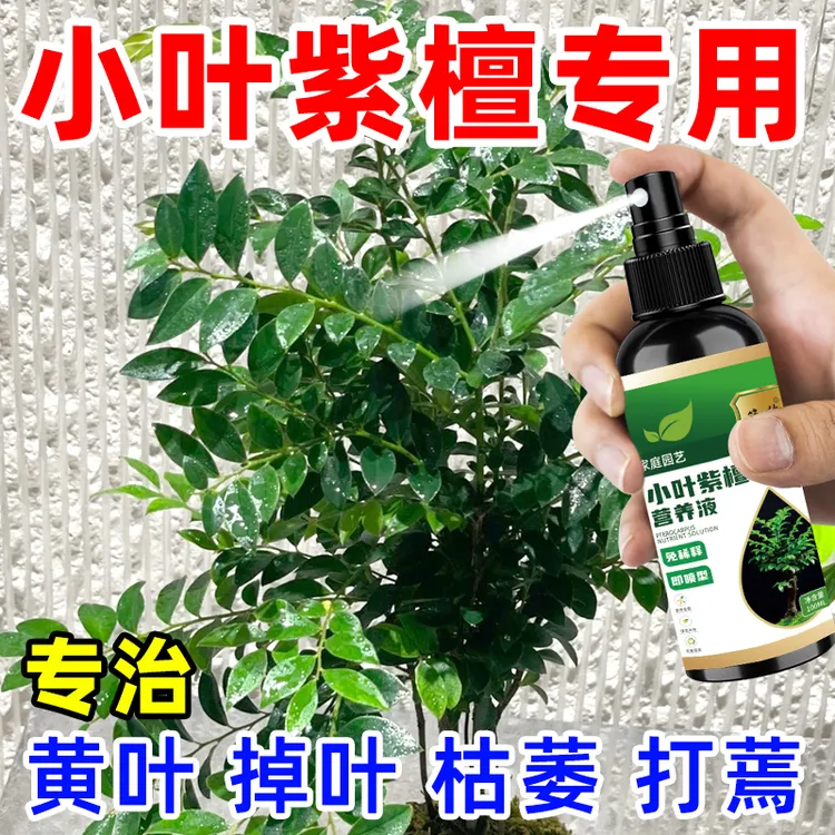 小叶紫檀专用肥叶子发黄干枯掉落枯萎烂根催新芽营养液强效营养液