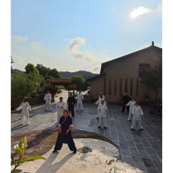 道家九转徊舂功视频课程