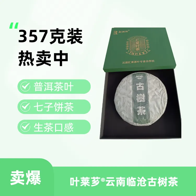 2023 年春 云南普洱茶 汇莱福到古树普洱 生茶 357克 