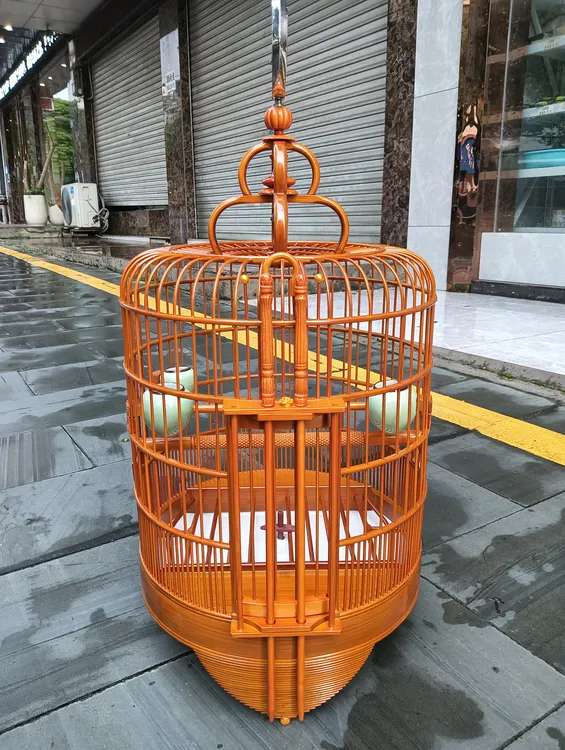 清远鸟笼丝无节广西底广笼36公分哑光漆桔黄色全套高配置包邮