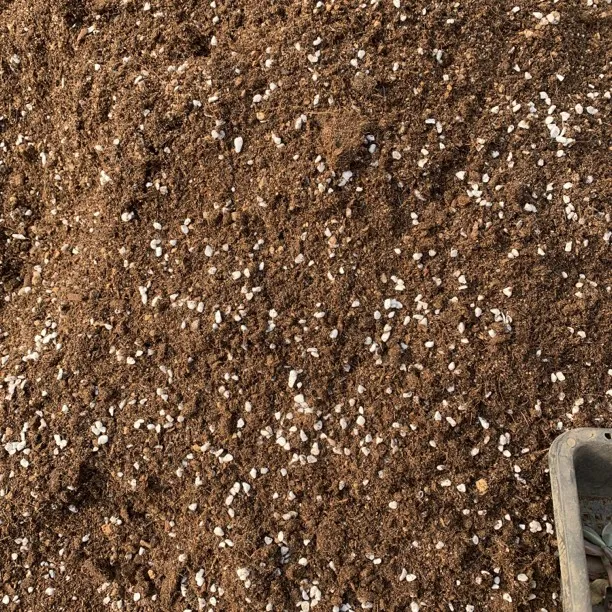 老徐园艺多肉植物泥炭土10升装
