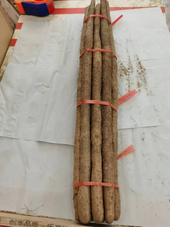 陈集山药铁棍山药鸡皮糙铁杆沙土山药铁棍山药70-80厘米顺丰邮政