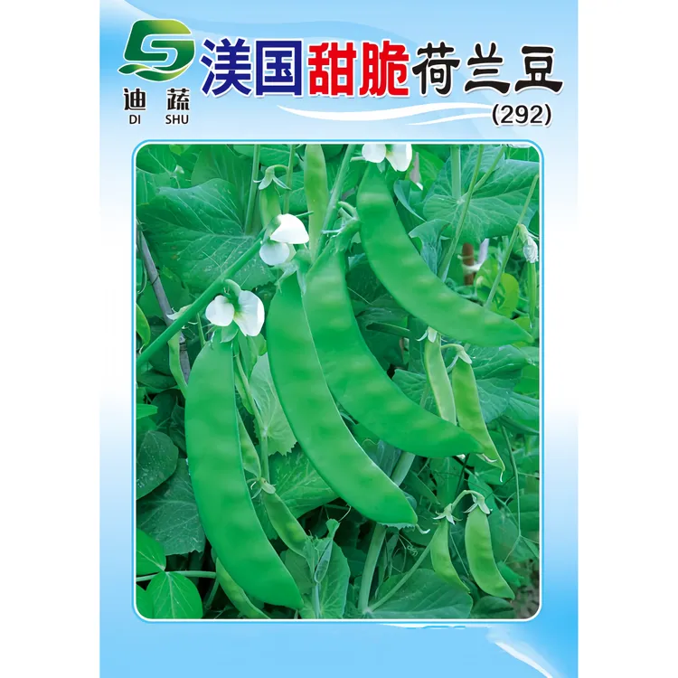 甜脆荷兰豆种子292*渼国甜脆荷兰豆种籽