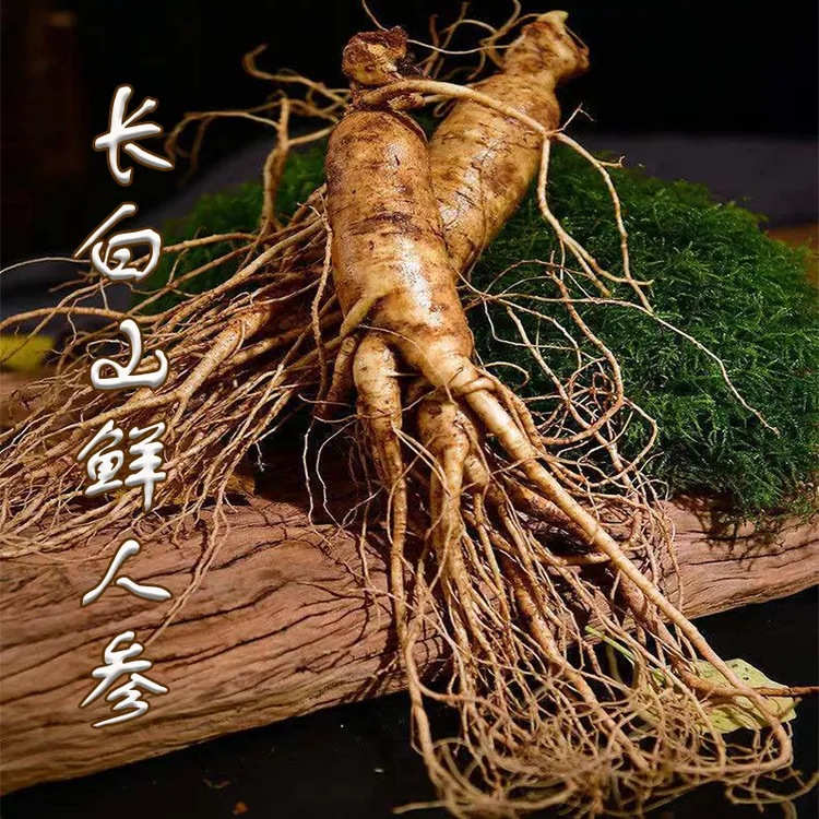 鲜人参 坏单包赔 顺丰发货长白山鲜参直发特产新鲜 营养 带土品质