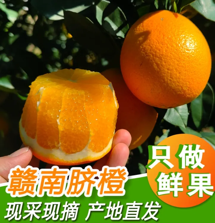 10/20斤装精品脐橙送礼佳品正宗赣南脐橙新鲜采摘果园直发不打腊
