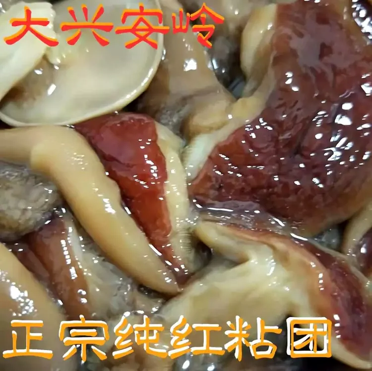 东北特产野生菌红年团黏团粘团子红油蘑红乳牛肝菌新鲜松蘑菇盐渍