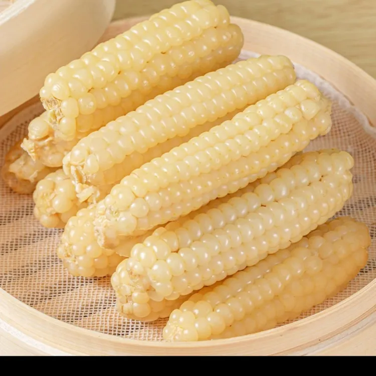 【精选拇指小玉米】版纳颗粒新鲜即食玉米饱满玉米代餐粗粮礼盒200g