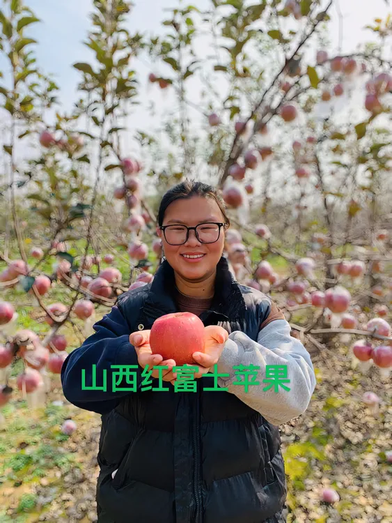 山西临猗坡上脆甜丑苹果礼盒装特大果9斤（并非每个都有冰糖心）...